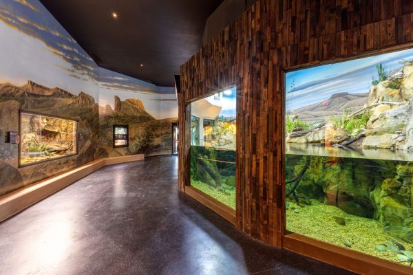 Zoo Architecture, Animal Exhibit Architecture, Reptile Exhibit Architecture