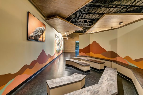 Zoo Architecture, Animal Exhibit Architecture, Reptile Exhibit Architecture