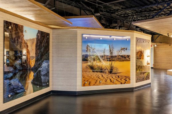 Zoo Architecture, Animal Exhibit Architecture, Reptile Exhibit Architecture