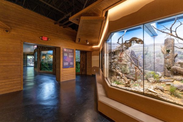 Zoo Architecture, Animal Exhibit Architecture, Reptile Exhibit Architecture