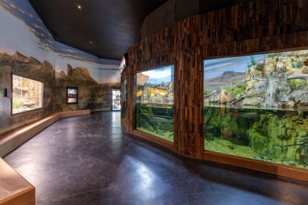 Zoo Architecture, Animal Exhibit Architecture, Reptile Exhibit Architecture