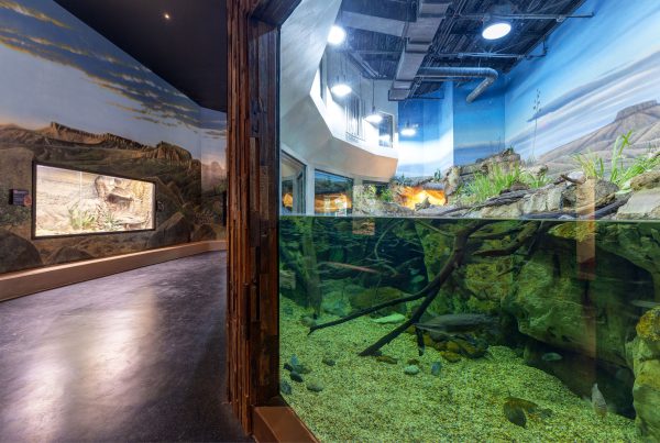 Zoo Architecture, Animal Exhibit Architecture, Reptile Exhibit Architecture