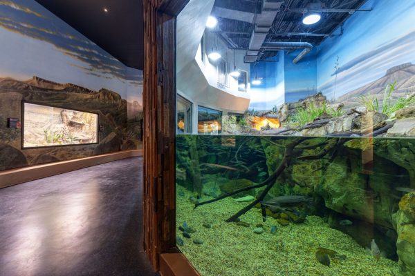 Zoo Architecture, Animal Exhibit Architecture, Reptile Exhibit Architecture